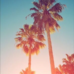 Meet your Posher, Mikayla